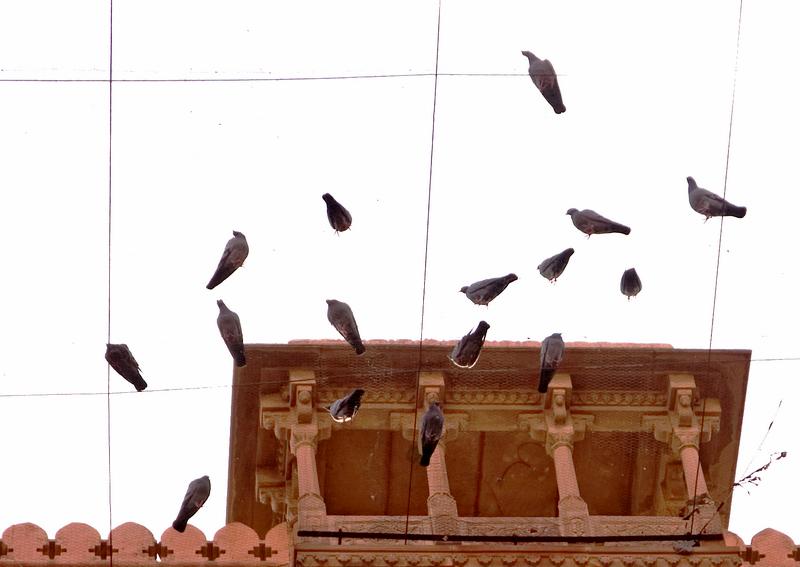 Bikaner