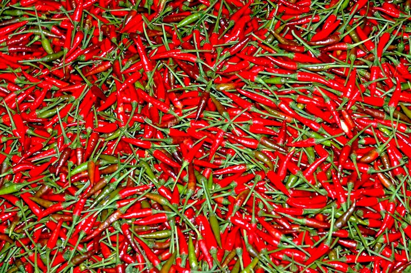 Red Pepper