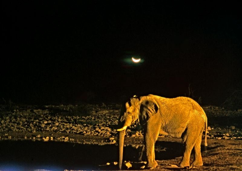 Etosha