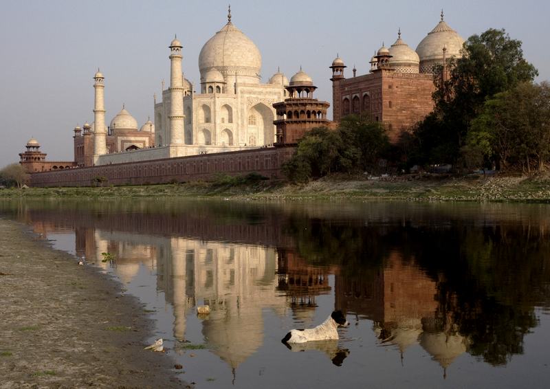 Bathing in the Yamuna