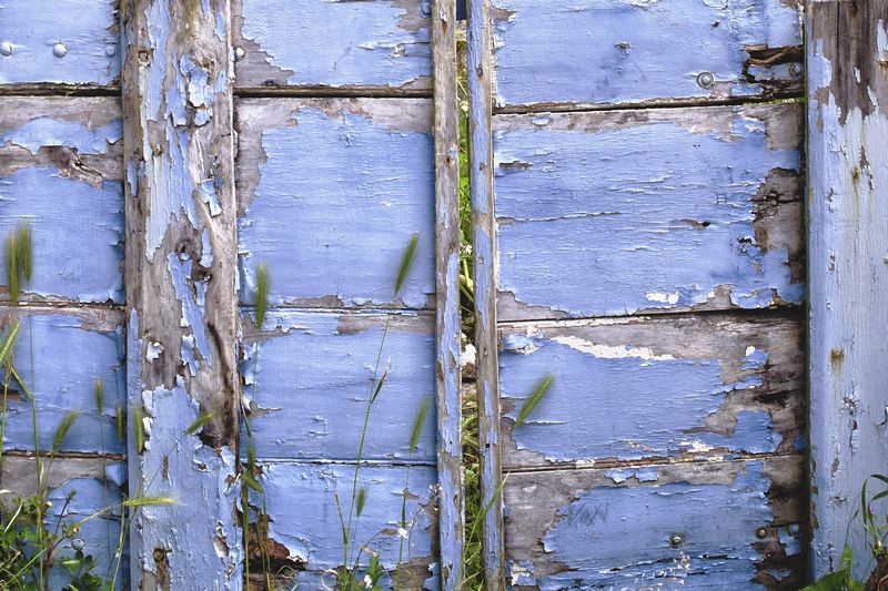 la porte bleue