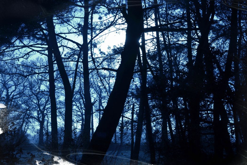 Theix (cyanotype)