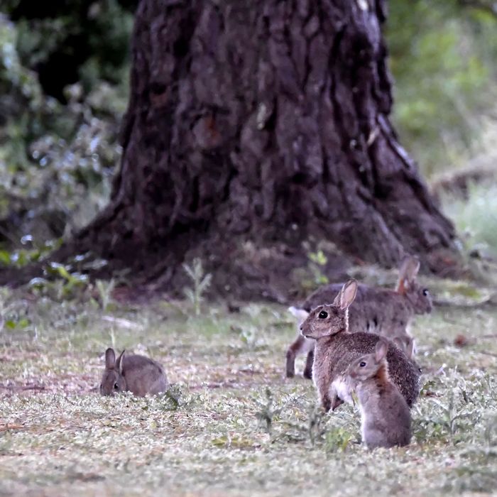 portrait de famille
