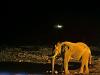 Etosha