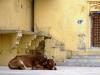 Peaceful Orchha