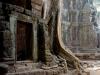 Ta Prohm