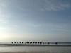 Deauville