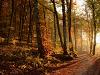 Couleurs d'Automne