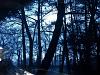 Theix (cyanotype)